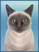 ansehen Birma Rosi Kaetzchen